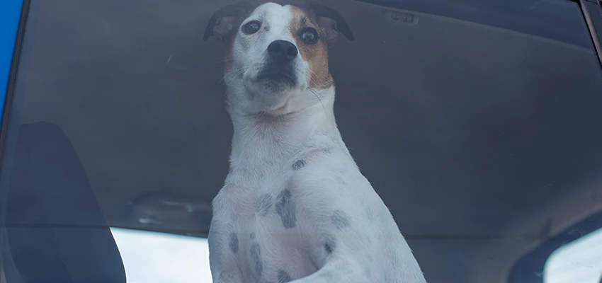 Car Lockout Solutions in Arroyo Grande, California